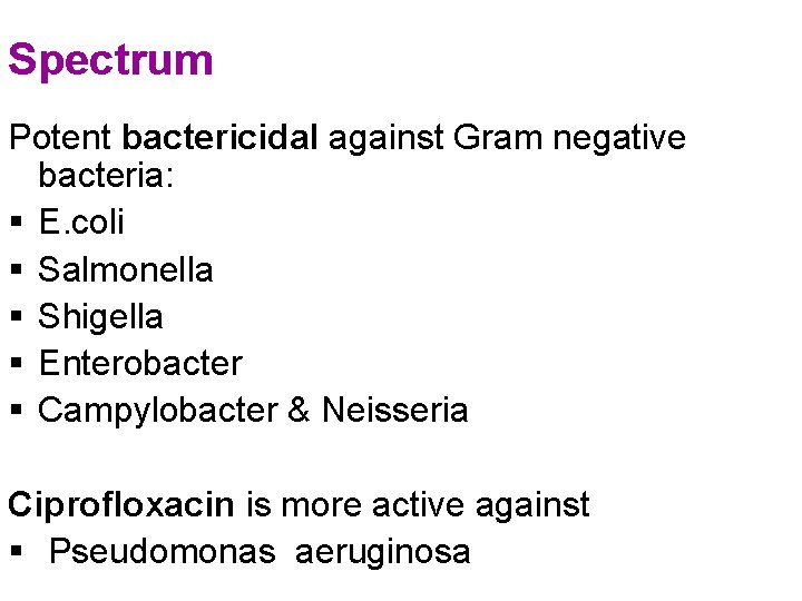 Spectrum Potent bactericidal against Gram negative bacteria: § E. coli § Salmonella § Shigella