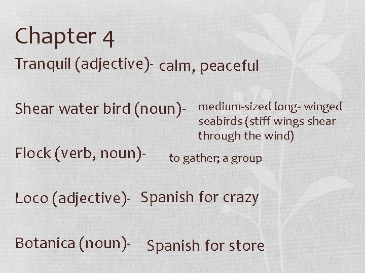 Chapter 4 Tranquil (adjective)- calm, peaceful Shear water bird (noun)Flock (verb, noun)- medium-sized long-