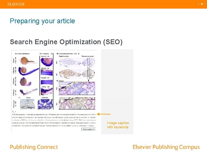 | 38 Preparing your article Search Engine Optimization (SEO) 