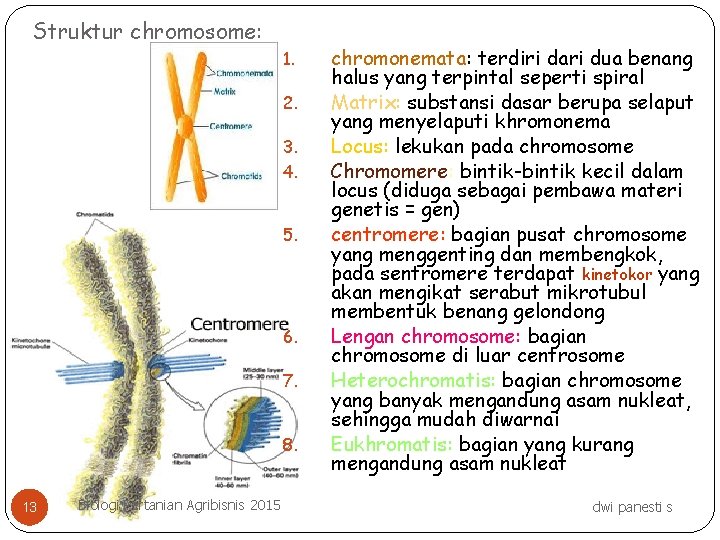 Struktur chromosome: 1. 2. 3. 4. 5. 6. 7. 8. 13 Biologi Pertanian Agribisnis