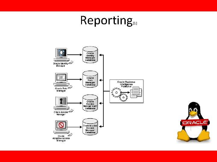 Reporting [1] 