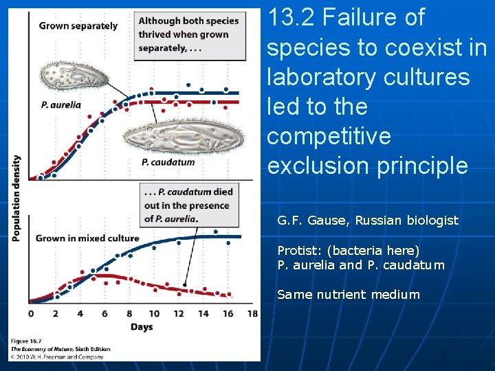 13. 2 Failure of species to coexist in laboratory cultures led to the competitive