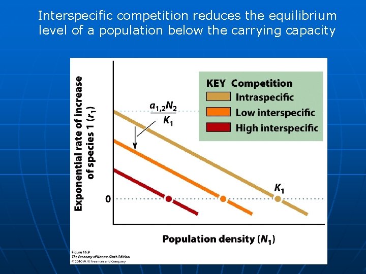 Interspecific competition reduces the equilibrium level of a population below the carrying capacity 