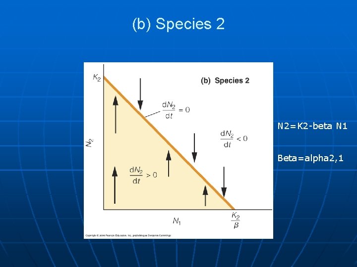 (b) Species 2 N 2=K 2 -beta N 1 Beta=alpha 2, 1 