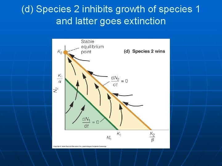 (d) Species 2 inhibits growth of species 1 and latter goes extinction 