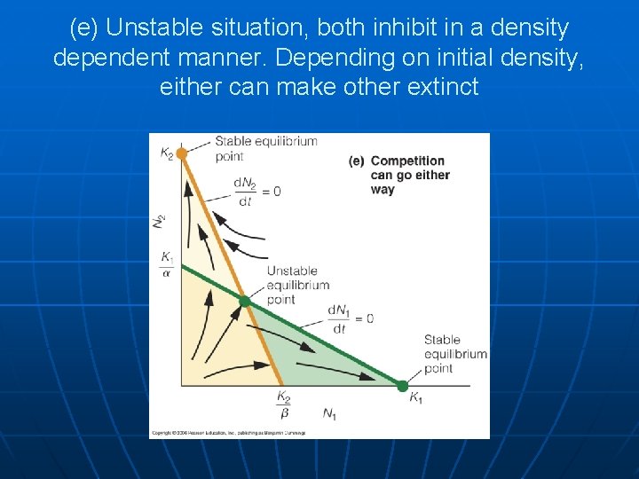 (e) Unstable situation, both inhibit in a density dependent manner. Depending on initial density,