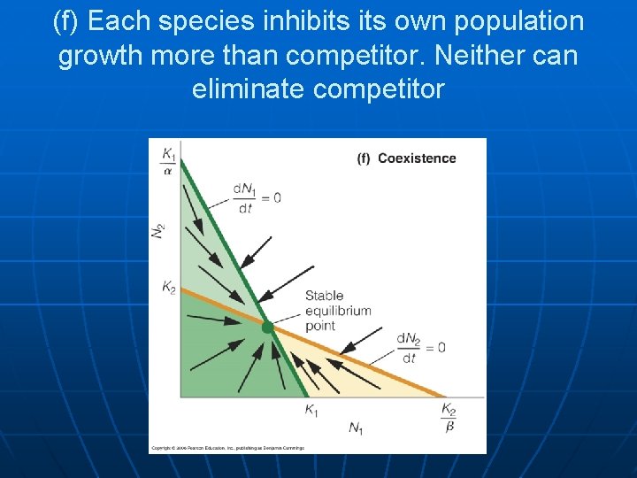 (f) Each species inhibits own population growth more than competitor. Neither can eliminate competitor