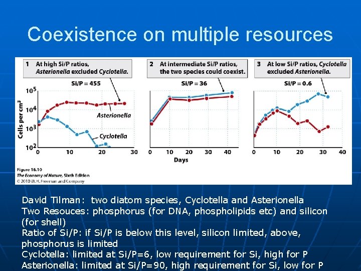 Coexistence on multiple resources David Tilman: two diatom species, Cyclotella and Asterionella Two Resouces: