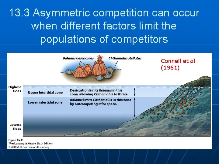 13. 3 Asymmetric competition can occur when different factors limit the populations of competitors