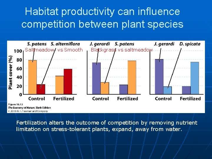 Habitat productivity can influence competition between plant species Saltmeadow vs Smooth Blackgrass vs saltmeadow
