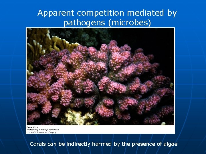 Apparent competition mediated by pathogens (microbes) Corals can be indirectly harmed by the presence