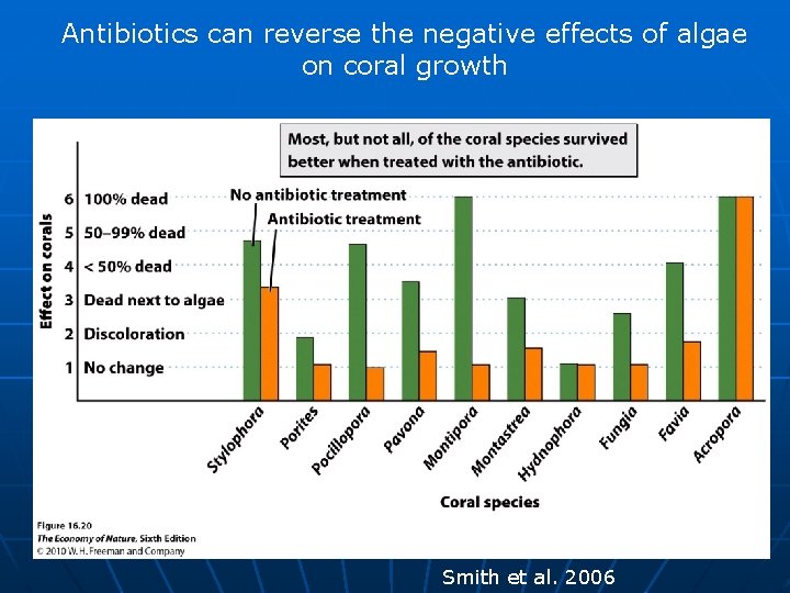 Antibiotics can reverse the negative effects of algae on coral growth Smith et al.