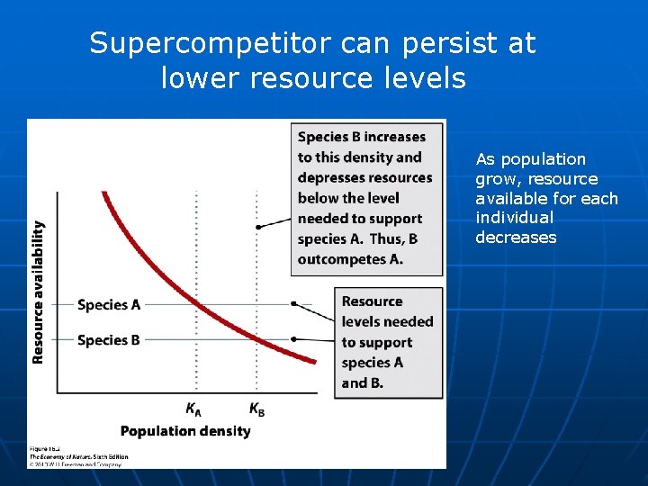 Supercompetitor can persist at lower resource levels As population grow, resource available for each