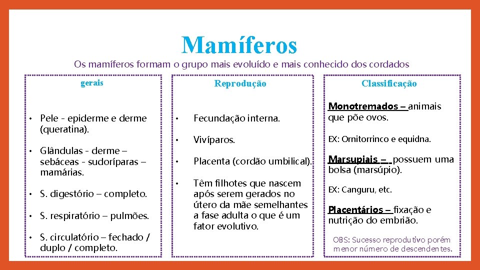 Mamíferos Os mamíferos formam o grupo mais evoluído e mais conhecido dos cordados gerais