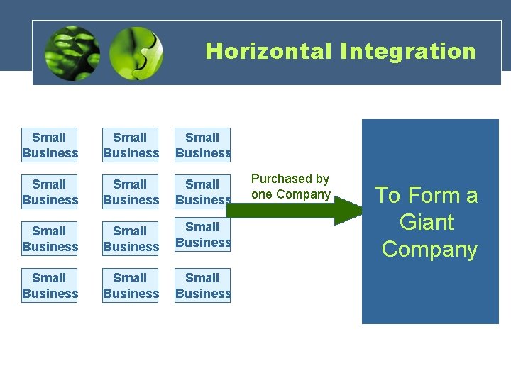 Horizontal Integration Small Business Small Business Small Business Purchased by one Company To Form