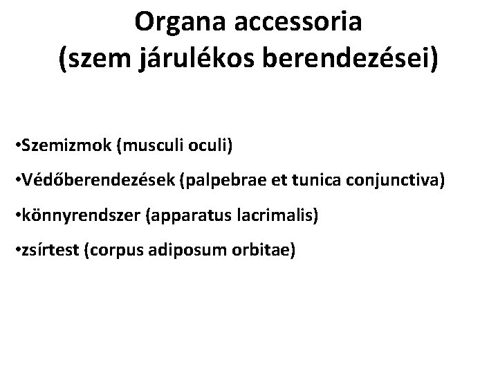 Organa accessoria (szem járulékos berendezései) • Szemizmok (musculi oculi) • Védőberendezések (palpebrae et tunica