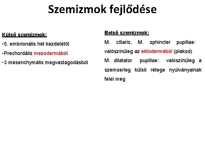 Szemizmok fejlődése Külső szemizmok: Belső szemizmok: • 5. embrionális hét kezdetétől M. • Prechordális