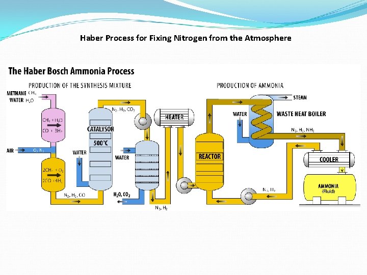 Haber Process for Fixing Nitrogen from the Atmosphere 