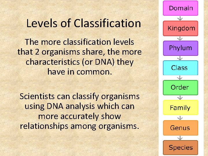 Levels of Classification The more classification levels that 2 organisms share, the more characteristics