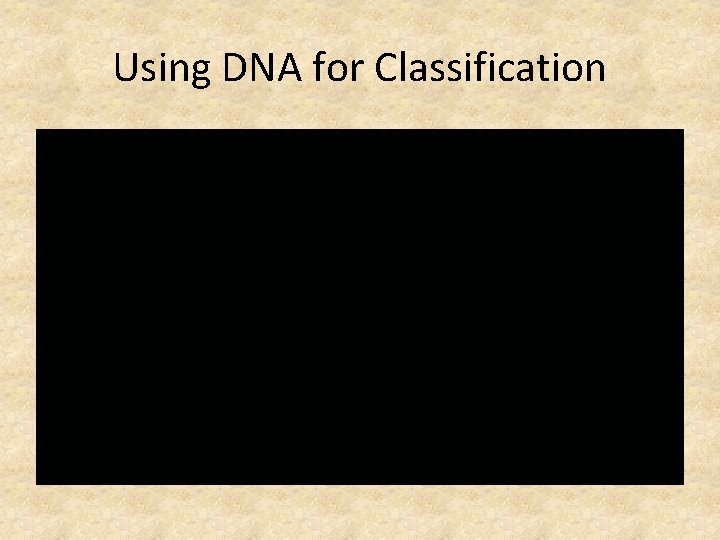 Using DNA for Classification 