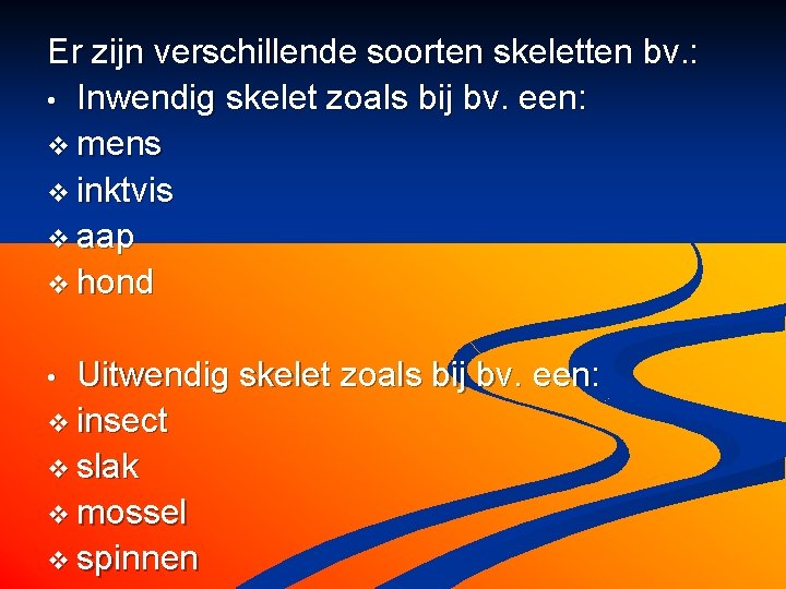 Er zijn verschillende soorten skeletten bv. : • Inwendig skelet zoals bij bv. een: