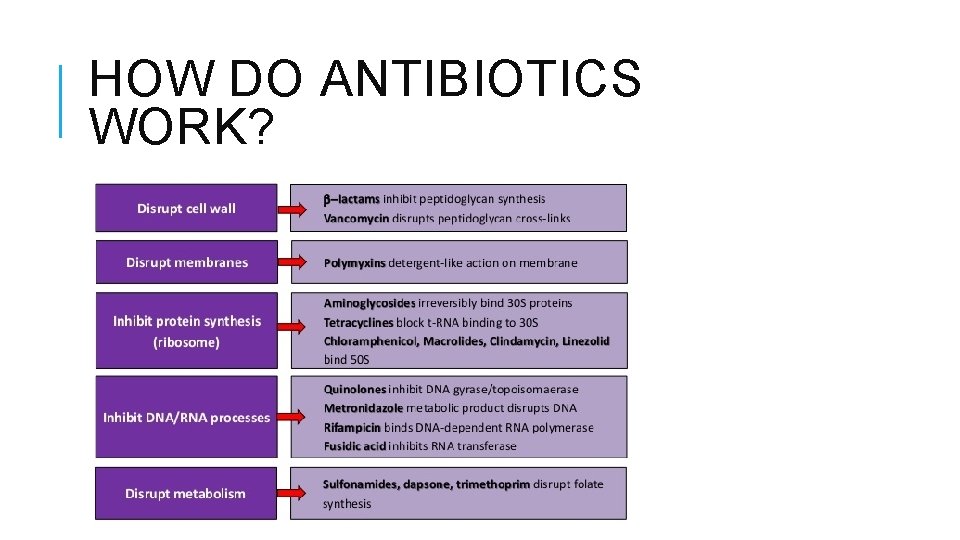 HOW DO ANTIBIOTICS WORK? 