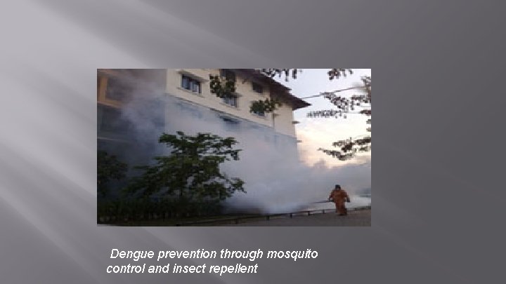  Dengue prevention through mosquito control and insect repellent 