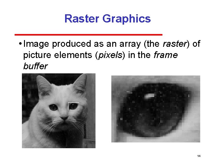 Raster Graphics • Image produced as an array (the raster) of picture elements (pixels)