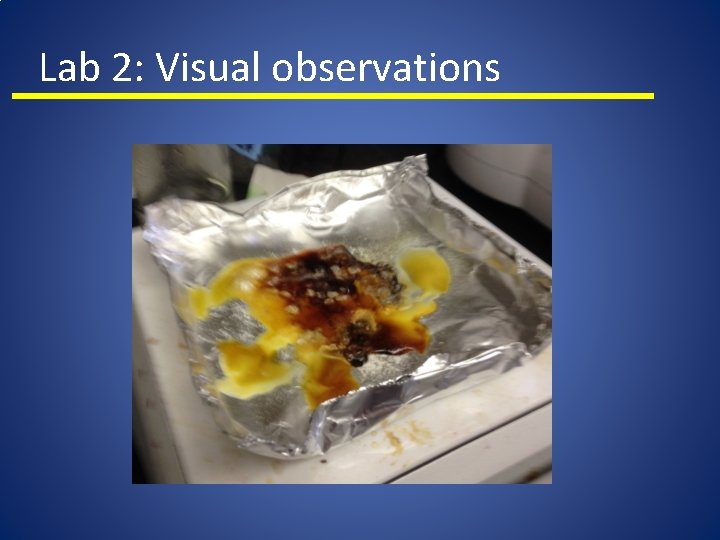 Lab 2: Visual observations 