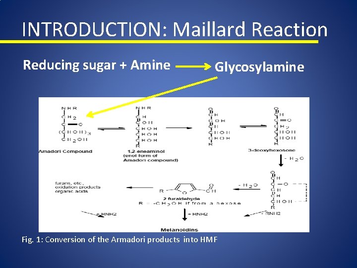INTRODUCTION: Maillard Reaction Reducing sugar + Amine Glycosylamine Fig. 1: Conversion of the Armadori