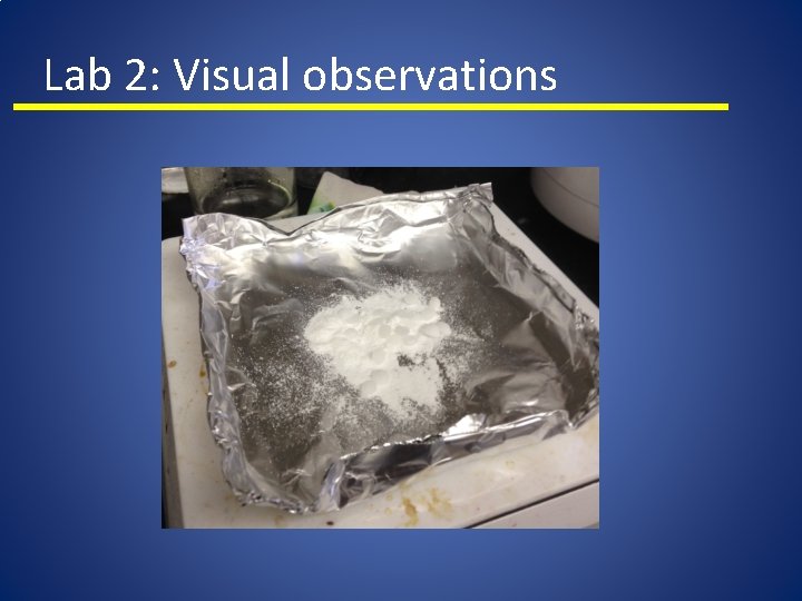 Lab 2: Visual observations 