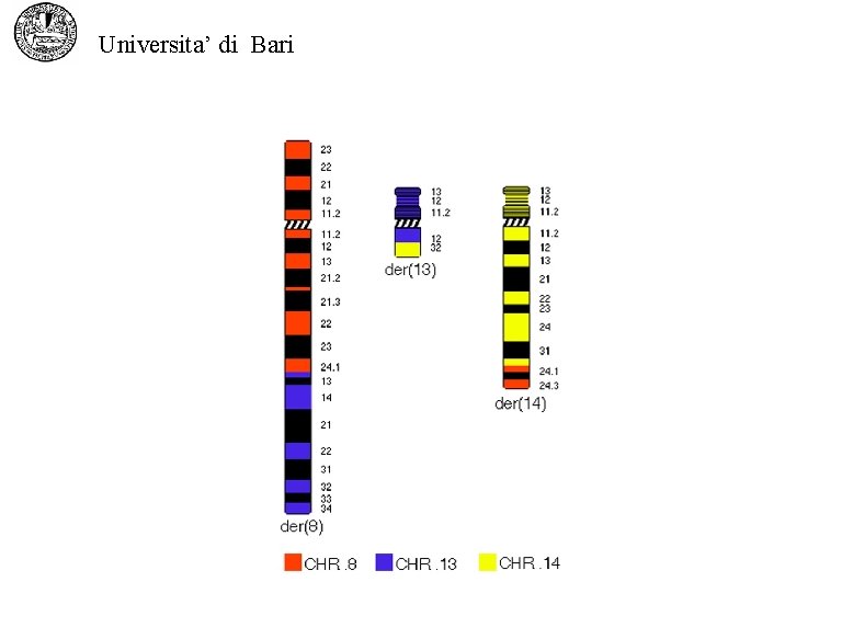 Universita’ di Bari 