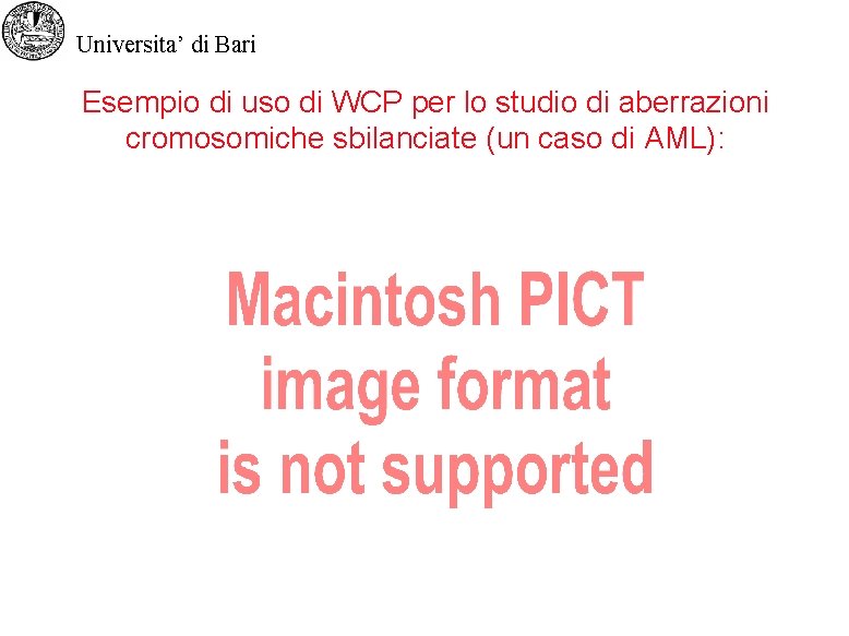 Universita’ di Bari Esempio di uso di WCP per lo studio di aberrazioni cromosomiche