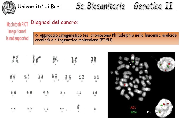 Universita’ di Bari Diagnosi del cancro: v approccio citogenetico (es. cromosoma Philadelphia nella leucemia