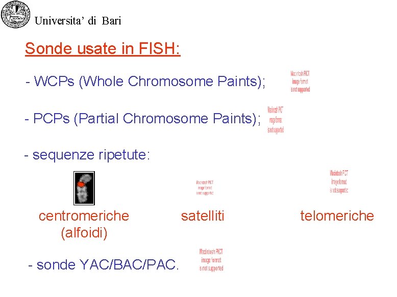 Universita’ di Bari Sonde usate in FISH: - WCPs (Whole Chromosome Paints); - PCPs