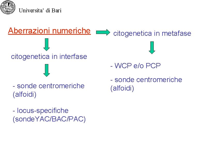 Universita’ di Bari Aberrazioni numeriche citogenetica in metafase citogenetica in interfase - WCP e/o
