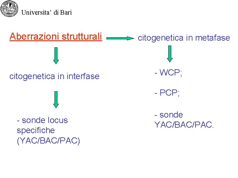 Universita’ di Bari Aberrazioni strutturali citogenetica in interfase citogenetica in metafase - WCP; -