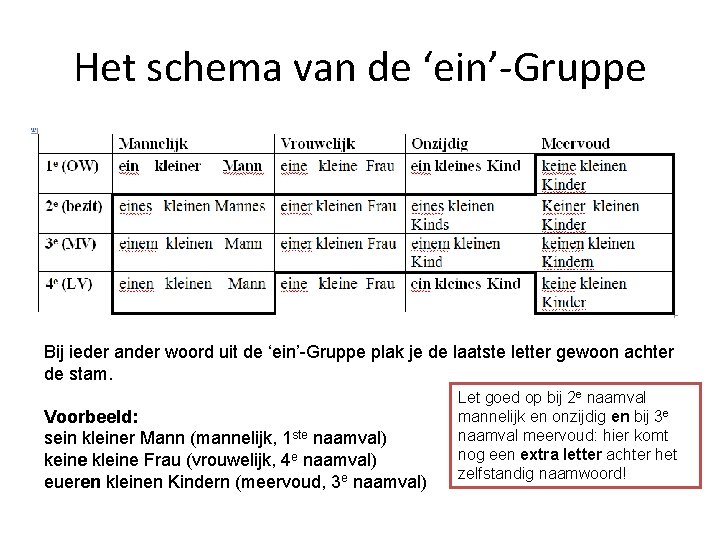 Het schema van de ‘ein’-Gruppe Bij ieder ander woord uit de ‘ein’-Gruppe plak je