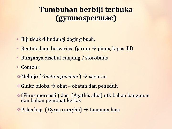 Tumbuhan berbiji terbuka (gymnospermae) • Biji tidak dilindungi daging buah. • Bentuk daun bervariasi