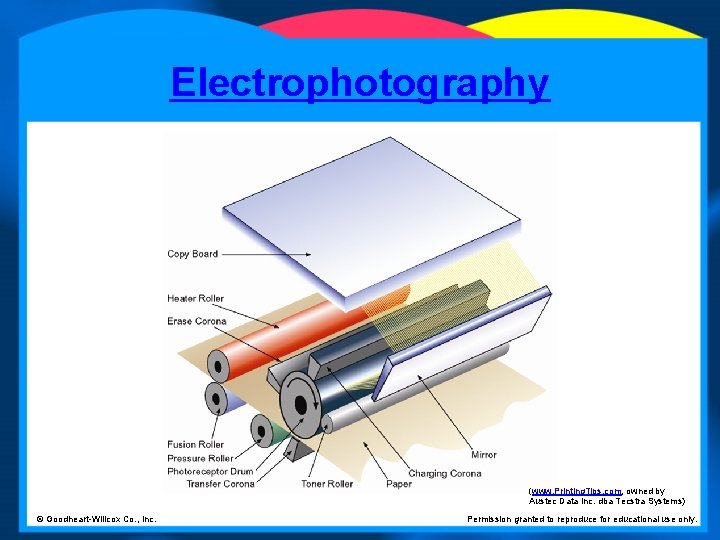 Electrophotography (www. Printing. Tips. com, owned by Austec Data Inc. dba Tecstra Systems) ©