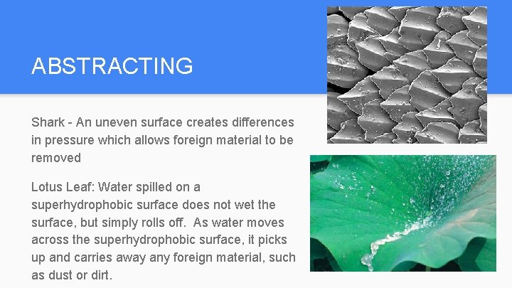 ABSTRACTING Shark - An uneven surface creates differences in pressure which allows foreign material