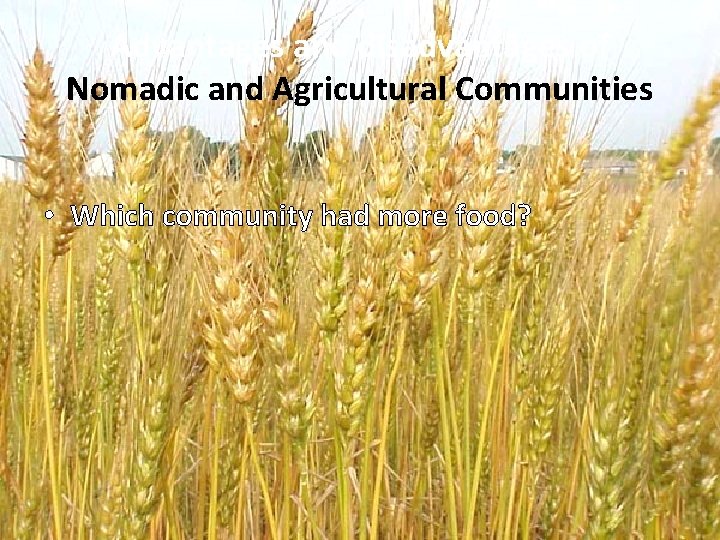 Advantages and disadvantages of Nomadic and Agricultural Communities • Which community had more food?