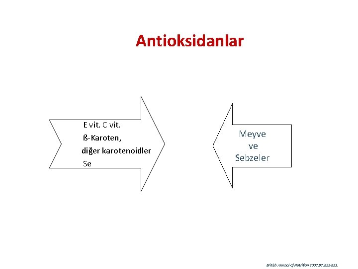 Antioksidanlar E vit. C vit. ß-Karoten, diğer karotenoidler Se Meyve ve Sebzeler British Journal
