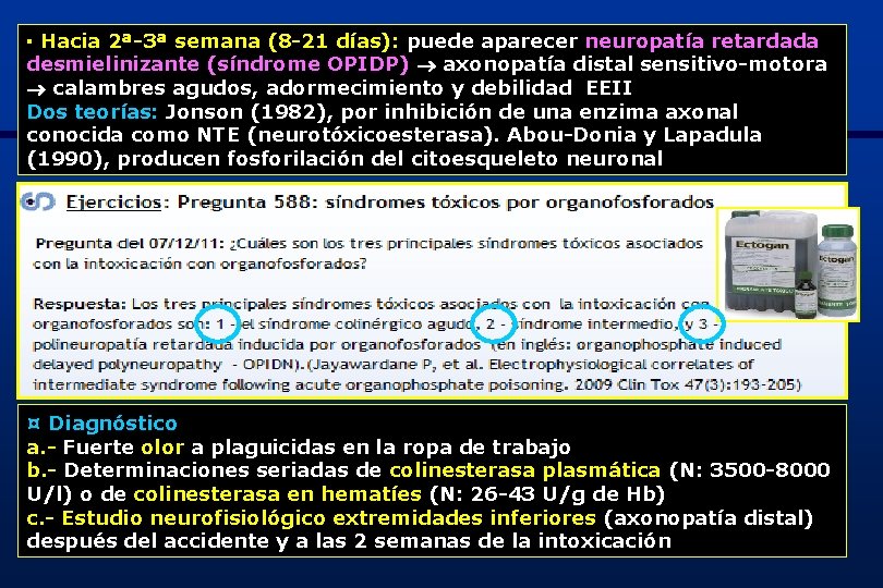 ▪ Hacia 2ª-3ª semana (8 -21 días): puede aparecer neuropatía retardada desmielinizante (síndrome OPIDP)