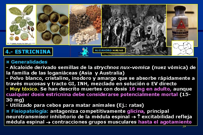 4. - ESTRICNINA ALEJANDRO MAGNO ¤ Generalidades - Alcaloide derivado semillas de la strychnos