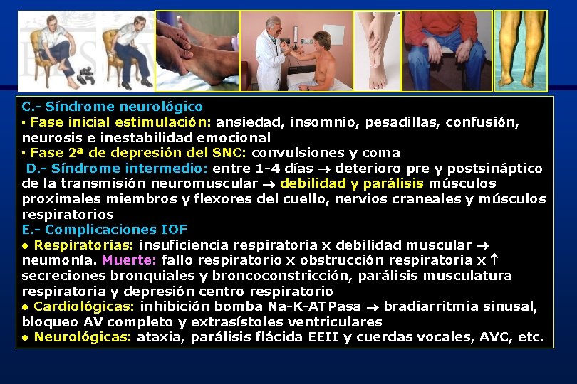 C. - Síndrome neurológico ▪ Fase inicial estimulación: ansiedad, insomnio, pesadillas, confusión, neurosis e