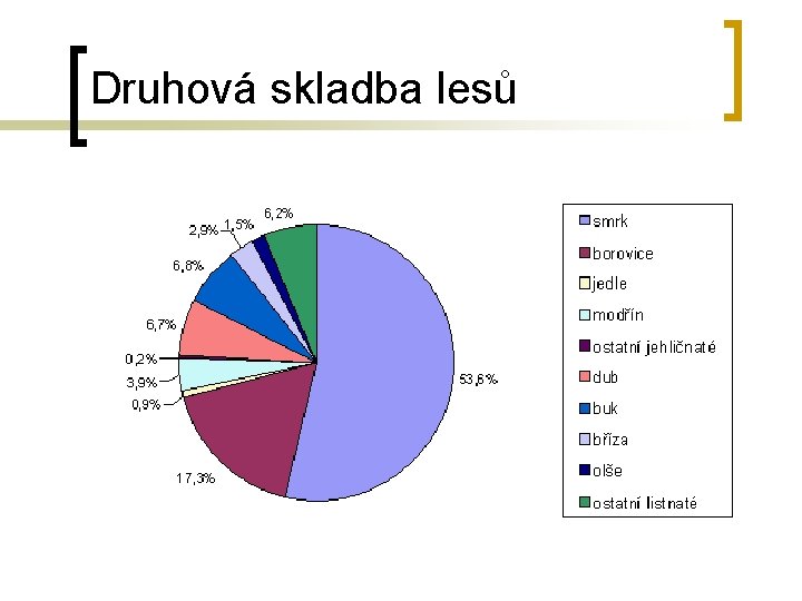 Druhová skladba lesů 