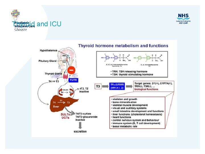 Thyroid and ICU 