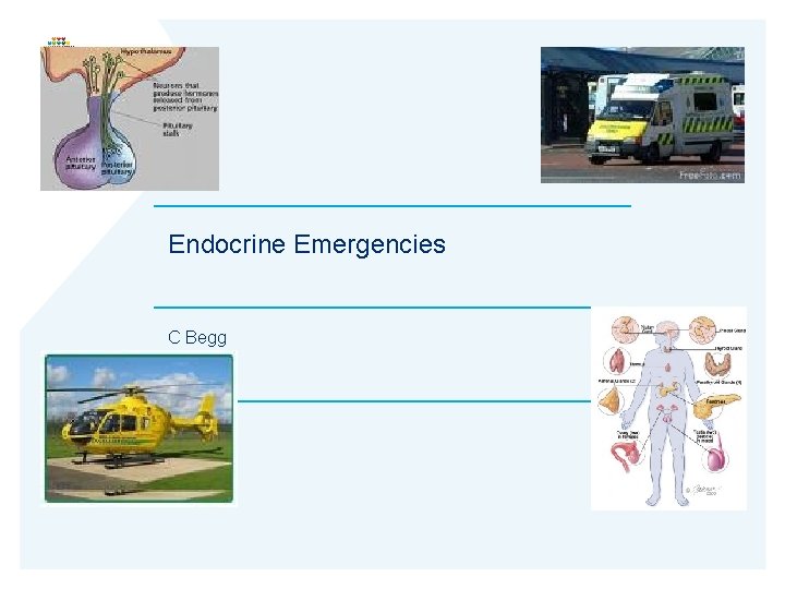 Endocrine Emergencies C Begg 