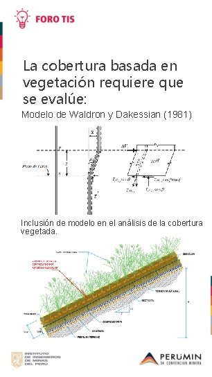 La cobertura basada en vegetación requiere que se evalúe: Modelo de Waldron y Dakessian